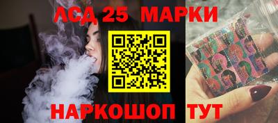 шишки Кимры