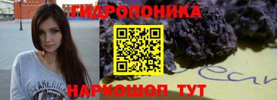 шишки Кимры