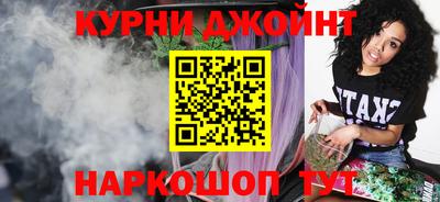 СК Кингисепп