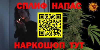 СК Кингисепп