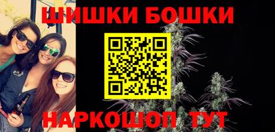 СК Кингисепп