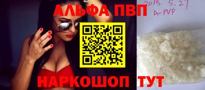 СК Кингисепп