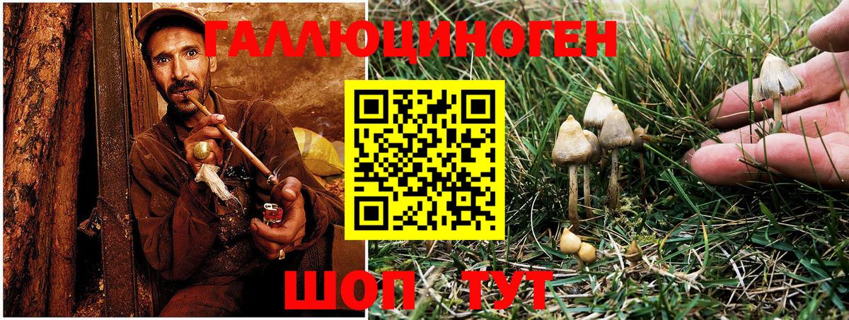 Псилоцибиновые грибы прущие грибы Северодвинск